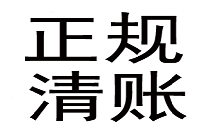 欠款诉讼强制执行中能否新增被告？